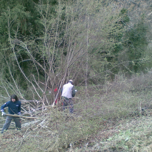 Attivit‡ di pulizia pieve di San Pietro n. 12 / 79778
