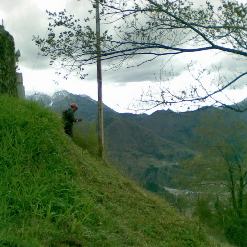 Attivit‡ di pulizia pieve di San Pietro n. 13 / 79779