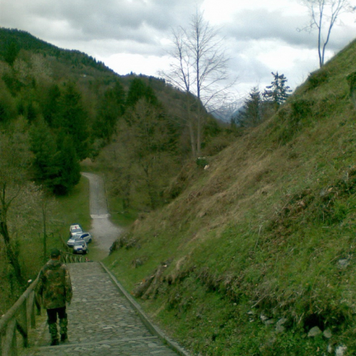 Attivit‡ di pulizia pieve di San Pietro n. 15 / 79781