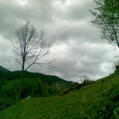 Attivit‡ di pulizia pieve di San Pietro n. 17 / 79783