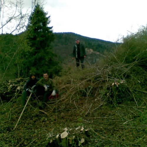 Attivit‡ di pulizia pieve di San Pietro n. 18 / 79784