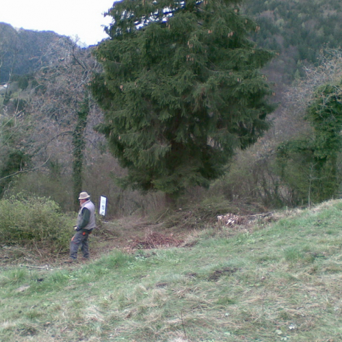 Attivit‡ di pulizia pieve di San Pietro n. 20 / 79786