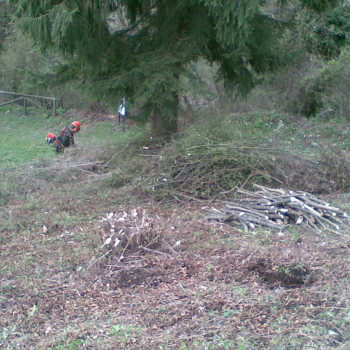 Attivit‡ di pulizia pieve di San Pietro n. 22 / 79788