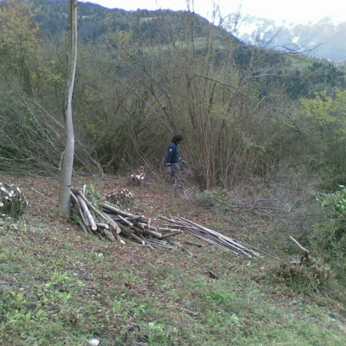 Attivit‡ di pulizia pieve di San Pietro n. 23 / 79789