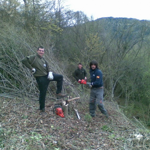 Attivit‡ di pulizia pieve di San Pietro n. 24 / 79790