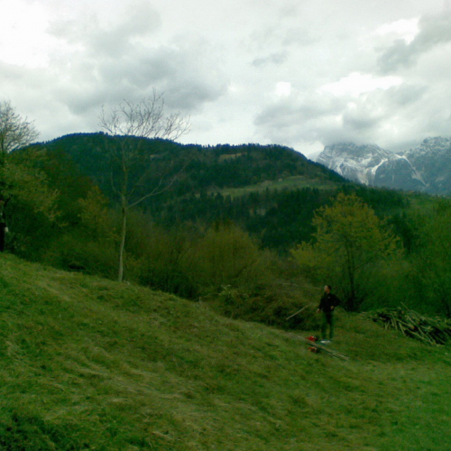 Attivit‡ di pulizia pieve di San Pietro n. 25 / 79791