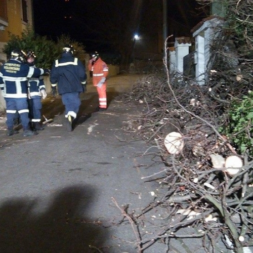 Interventi CPV Trieste foto n.2 / 112682