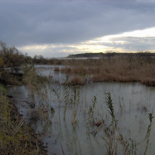 Lignano mareggiata 01/12 n. 14 / 32754