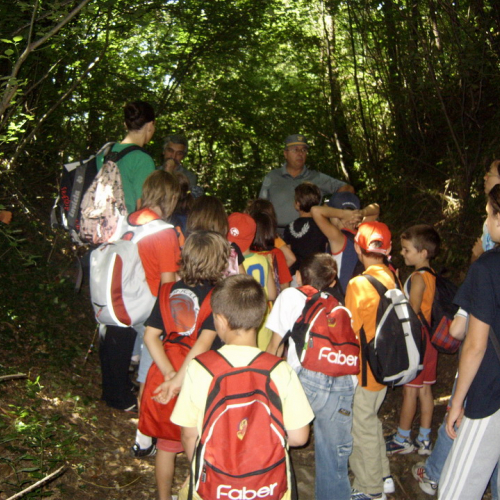 centro Estivo n. 14 / 27807