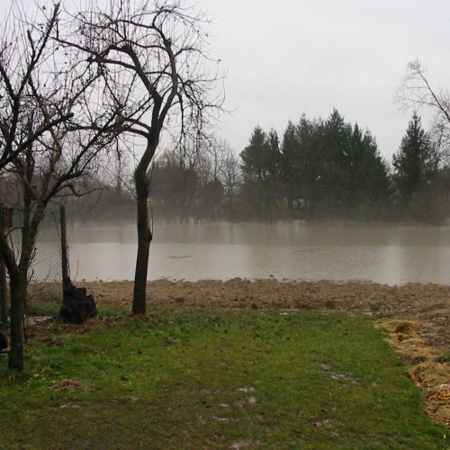 Intervento 21/01 n. 14 / 34379