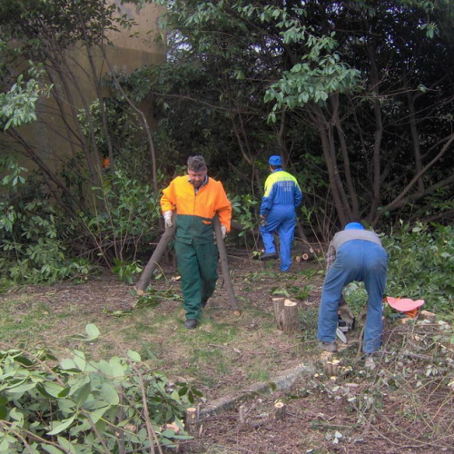 Addestramento 14/03 n. 11 / 35977