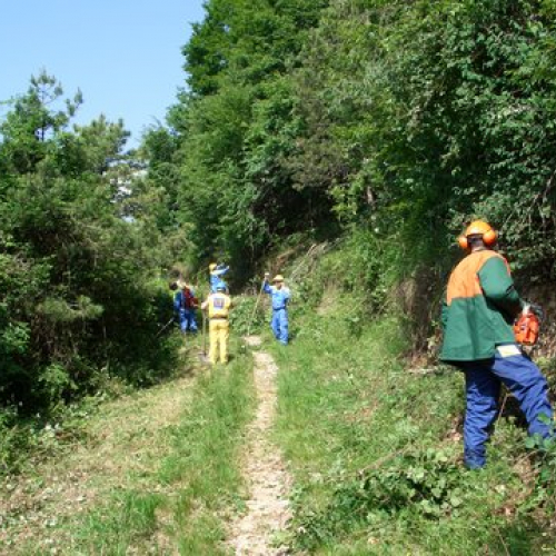 attivit‡ ripristino di una pista forestale n. 14 / 53632