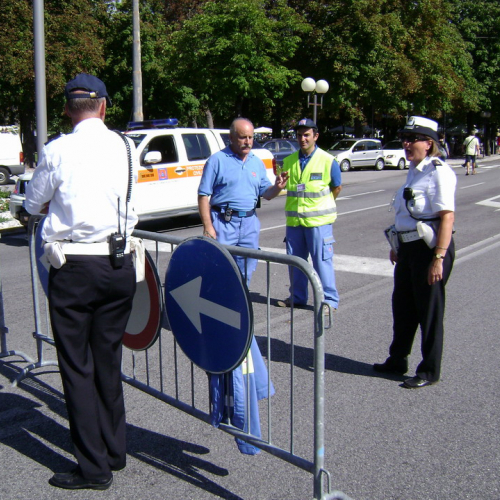 Attivit‡ supporto 15/08 n. A 11 / 55278