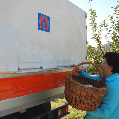 Castagnata 2011 n. 7 / 71358