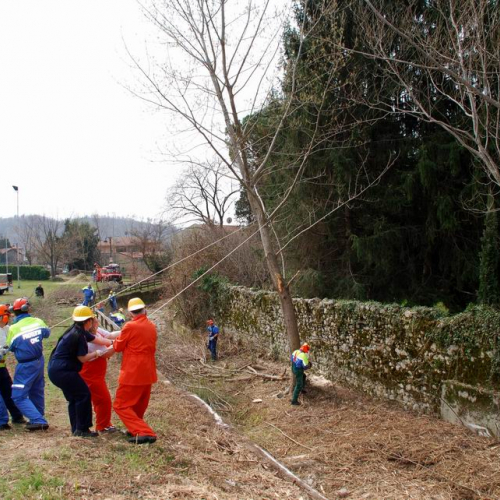 Intervento Attimis n. 15 / 78802