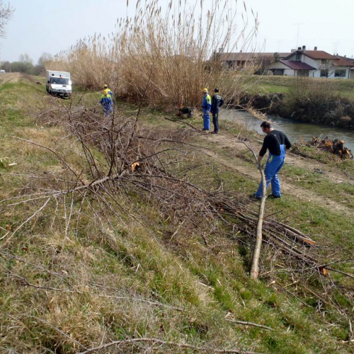 Intervento Caneva n. 15 / 78866