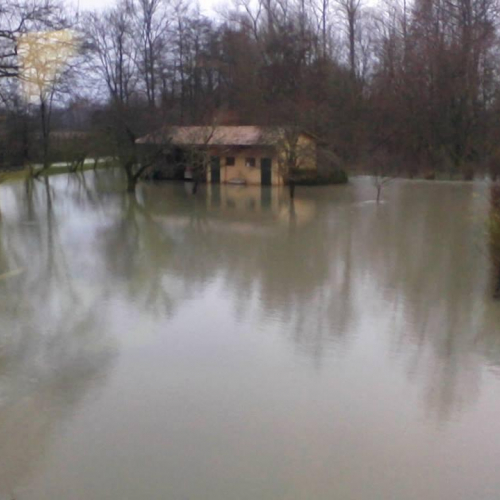 Interventi volontari n. 2 / 103769