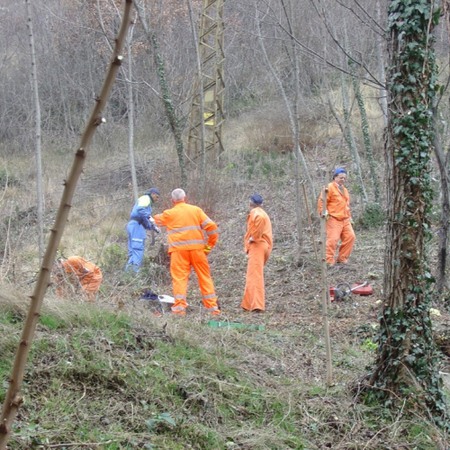 foto esercitazione n. 16 / 21416