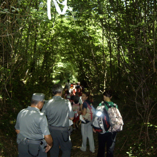 centro Estivo n. 15 / 27808