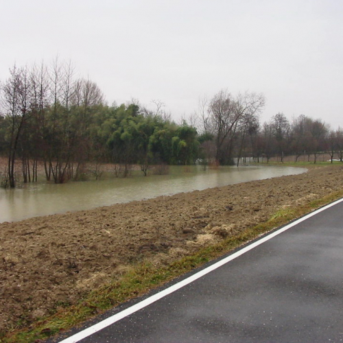 Intervento 21/01 n. 15 / 34380