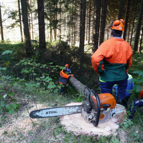 Corso motosega 10/10/10 n. 15 / 56981