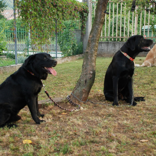 Attivit‡ addestrativa 04/09/11 n. 14 / 70124