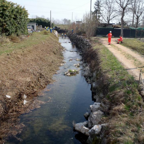 Intervento Caneva n. 16 / 78867