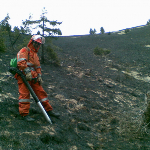 Incendio boschivo zona Navantes n. 1 / 64174