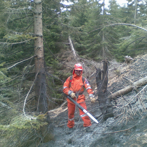 Incendio boschivo zona Navantes n. 2 / 64175
