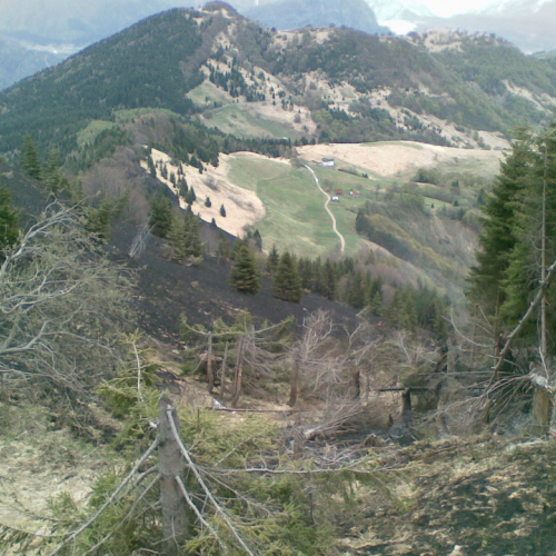 Incendio boschivo zona Navantes n. 3 / 64176