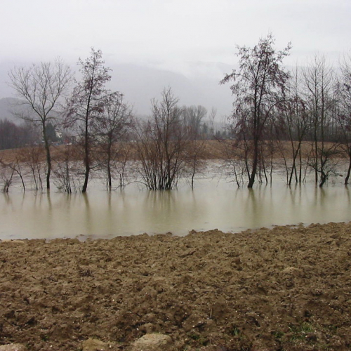 Intervento 21/01 n. 16 / 34381