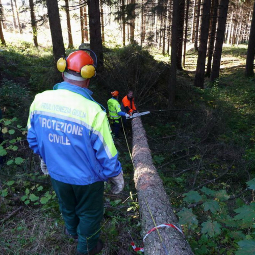 Corso motosega 10/10/10 n. 16 / 56982