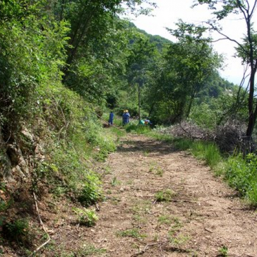 attivit‡ ripristino di una pista forestale n. 16 / 53634