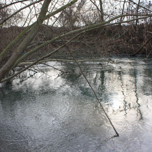 Monitoraggio del fiume Fiume n. 4 / 60591