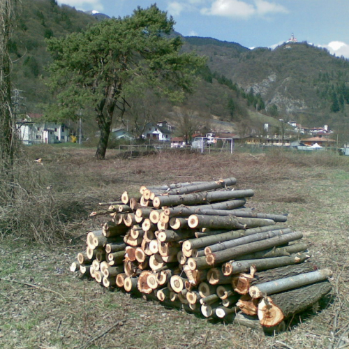 Attivit‡ 02/04/11 n. 16 / 63440
