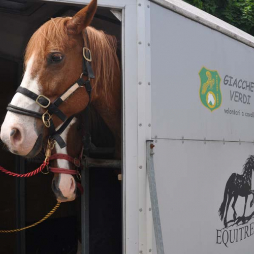 Esercitazione DOG FRIEND 2013" n. 16""sercitazione "DOG FRIE""ercitazi" / 94663