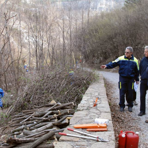 Intervento San Dorligo della Valle - Dolina n. 16 / 79128