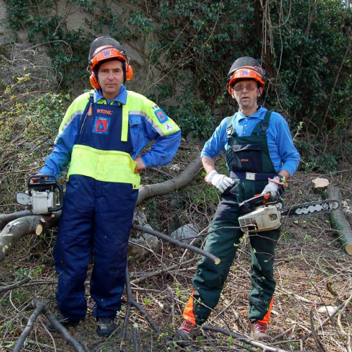 Intervento Venzone n. 14 / 79054