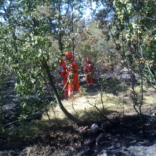 Incendio boschivo Visogliano n. 1 / 85310