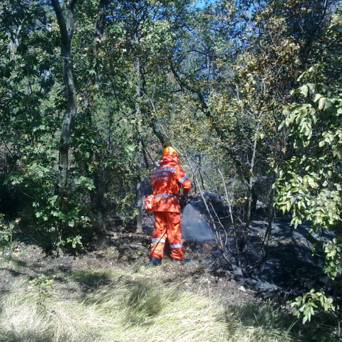 Incendio boschivo Visogliano n. 2 / 85311