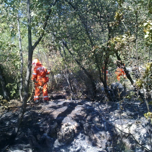 Incendio boschivo Visogliano n. 5 / 85314