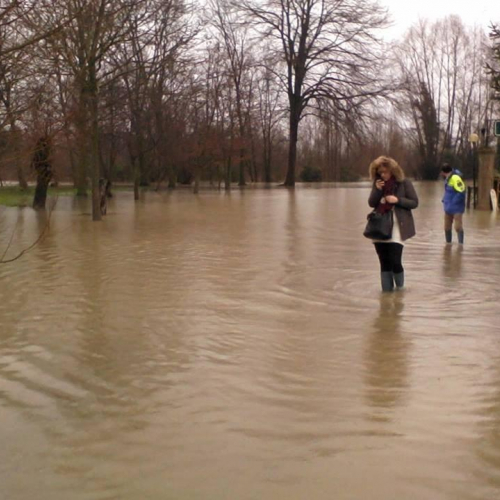 Interventi volontari n. 3 / 103770