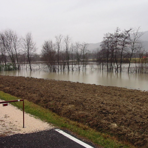 Intervento 21/01 n. 17 / 34382