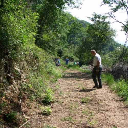 attivit‡ ripristino di una pista forestale n. 17 / 53635