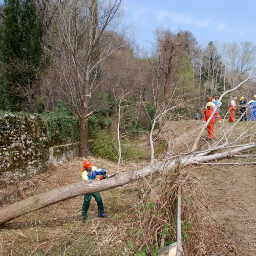 Intervento Attimis n. 18 / 78805