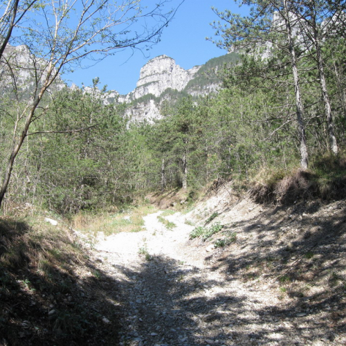 18-Grauzaria-prima.jpg / 43939