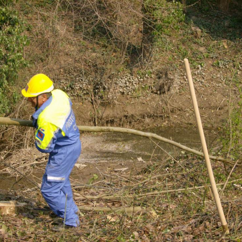 Intervento Ronchis n. 17 / 78912