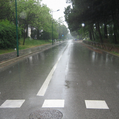 Foto Maratonina di Lignano n. 4 / 24181