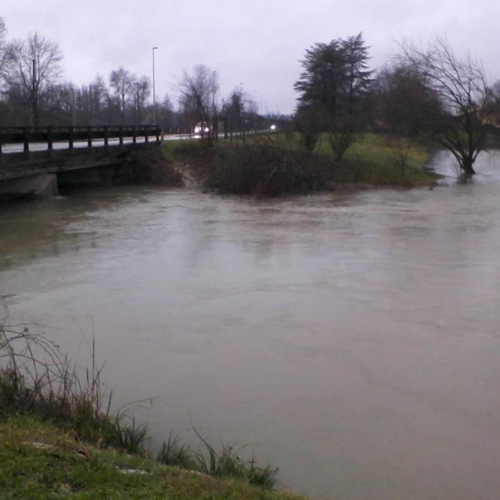 Interventi volontari n. 4 / 103771