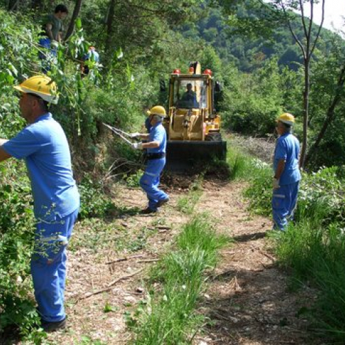 attivit‡ ripristino di una pista forestale n. 18 / 53636